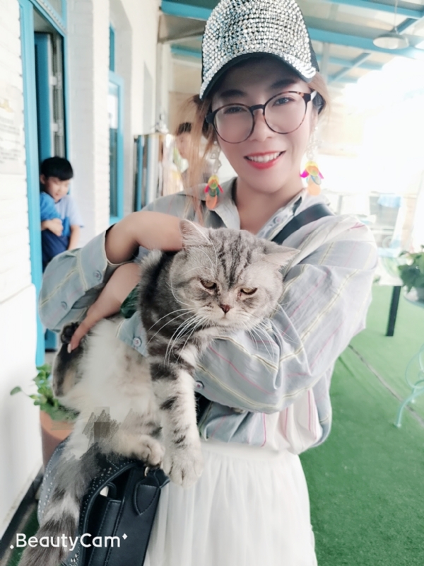 小黑猫的第一张照片--闽清相亲服务中心