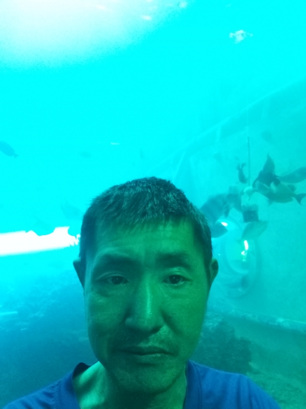 陸戰隊的第一张照片--闽清相亲服务中心