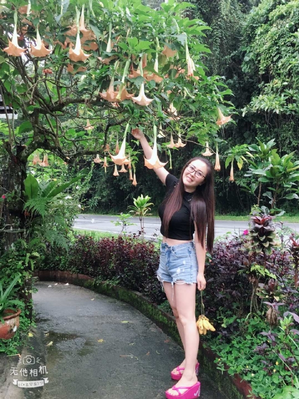 离异单身无子的第二张照片--闽清相亲服务中心