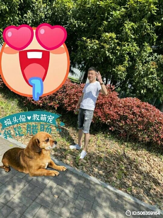 我若不坚强谁替我勇敢的第一张照片--闽清相亲服务中心