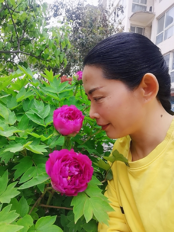 厚德载物的第一张照片--闽清相亲服务中心