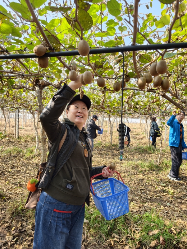夜莺的第三张照片--闽清相亲服务中心